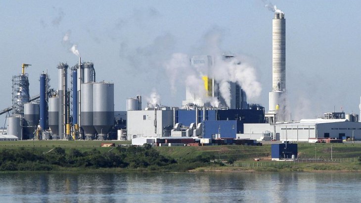 Informe del impacto real de las fábricas de celulosa ya instaladas en Uruguay: UPM en Fray Bentos y Montes del Plata en Conchillas. 