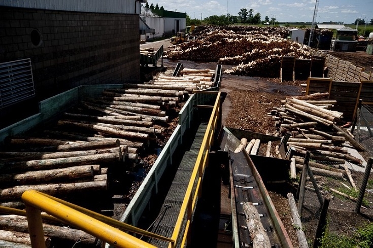 Corrientes ya adquirió el predio para el Parque Industrial de Ituzaingó donde se instalaría la nueva fábrica de celulosa y papeles marrones