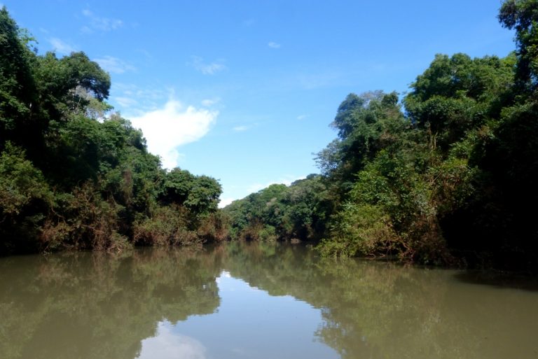 Juan Manuel Zorraquín: “La elección de la gente por la Selva Misionera como Maravilla Natural brindará un diferencial a la oferta turística en la provincia”