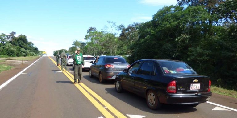 Parque Provincial Pto. Península: Guadaparques demoran el tránsito en la Ruta 12, a pocos kilómetros del acceso a Iguazú