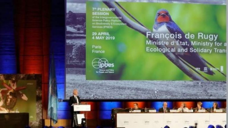 “La naturaleza ya está en parte perdida, y el resto en declive”, advierte informe de biodiversidad presentado en París por la científicos de la ONU