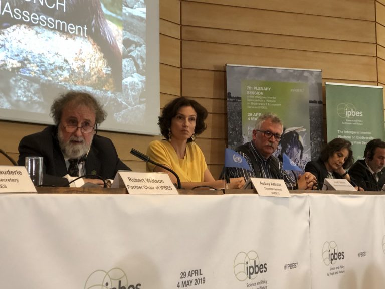 Biodiversidad y cambio climático: alerta mundial ante el informe de científicos presentado en París que expuso “riesgos reales para la supervivencia humana”