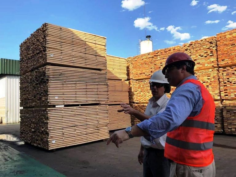 #LeyDePasteras: «La foresto-industria va a posicionar a Corrientes en los próximos años en el primer nivel económico en el país y la región”, indicó Raúl Schiavi