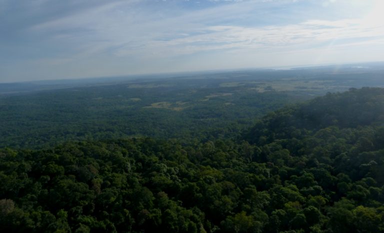 La crisis que pesa sobre la biodiversidad y las funciones y servicios de los ecosistemas de la Tierra pone a la humanidad en riesgo