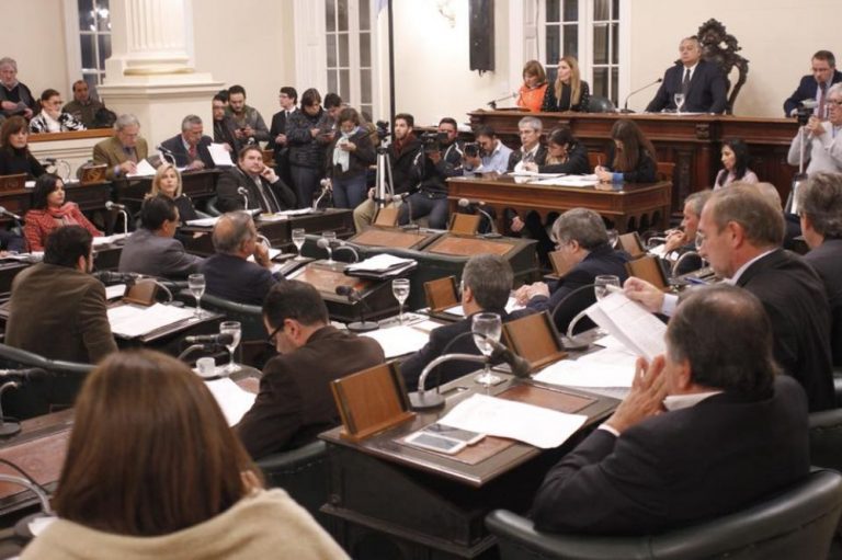 Corrientes: tras la sanción de leyes que declararon el interés de promover industrias celulósico-papeleras y fondos para controles ambientales, se reavivó la polémica por tierras y el “no” a las pasteras