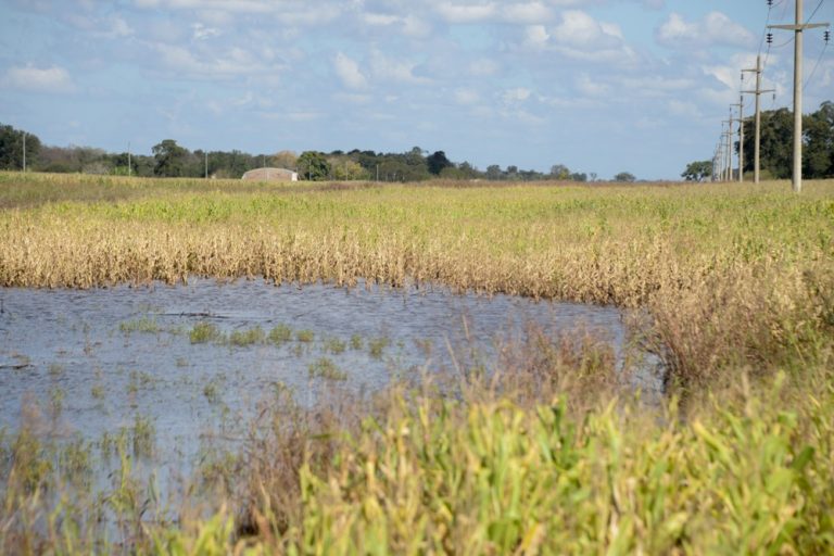 Chaco recibió del Gobierno nacional 87 millones para atender la emergencia que atraviesan productores de la provincia por las inundaciones  
