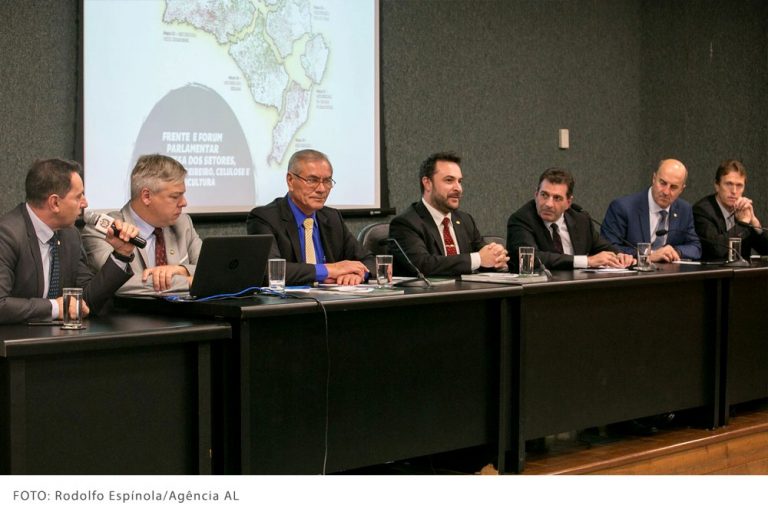 Crearon un grupo parlamentario de apoyo al sector foresto-industrial de Santa Catarina
