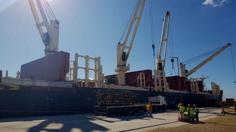 Exportaciones: zarparon con destino a China nueva carga de 30.000 toneladas de madera de pino desde puertos entrerrianos