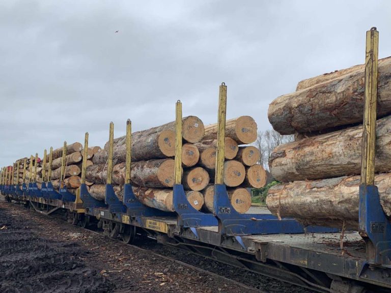 La industria forestal de Nueva Zelanda «en crisis» por restricciones de China en la cadena de suministro debido al brote de coronavirus