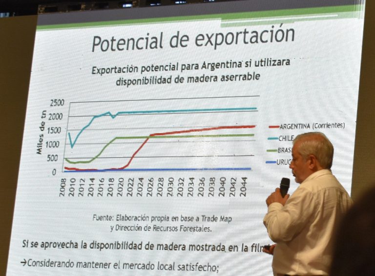 Jorge Vara: «Corrientes es un destino para inversores madereros por disponibilidad de materia prima, ubicación estratégica, planificación logística, estabilidad fiscal y decisión política»