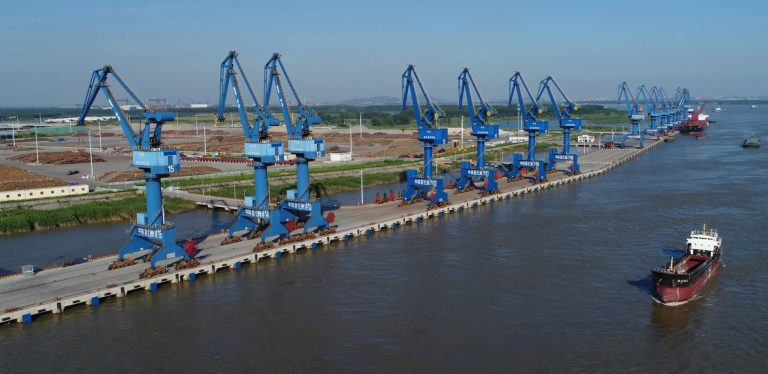 Desde China proponen una nueva manera de hacer negocios forestales a los productores del NEA y la oportunidad de ser competitivos globalmente