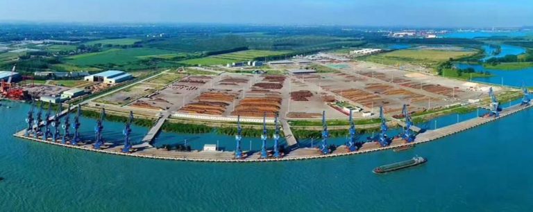 Racionamiento energético en China afecta a la producción maderera global por baja en producción y altos costos