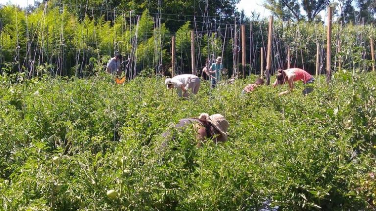 La UBA fortalece el diálogo con los productores por el proyecto de la Ley de Semillas
