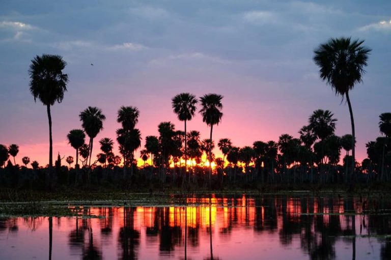 Formosa ingresó al mapa global como destino de turismo de naturaleza con el Bañado La Estrella