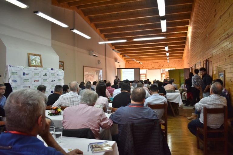 Madera y Muebles: con más despidos y cierren de industrias, presiona sobre la rentabilidad de las PyMEs del sector las altas tasas de interés de los bancos y el incremento de costos