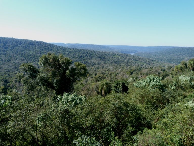 El COFEMA solicitó a la Nación que integre la totalidad de los fondos de la Ley Bosques Nativos en el Presupuesto 2020