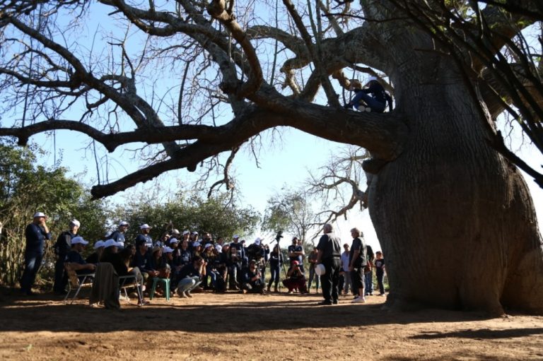 Colosos de la Tierra 2019: cinco árboles gigantes del Chaco Paraguayo compiten por el primer lugar del mayor concurso ambiental del país