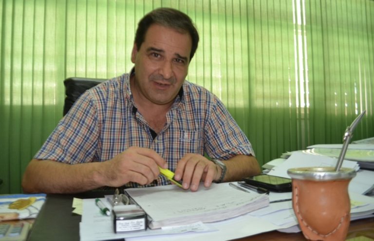 Misiones: El ministro Garay reclamó fondos nacionales para incentivar la construcción de viviendas de madera en todo el país