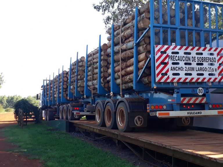 Habilitaron los primeros 205 kilómetros de rutas provinciales para la circulación de bitrenes en  Corrientes