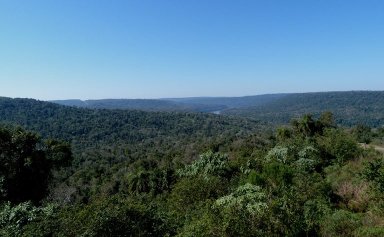 Misiones recibió de la Nación más de 17 millones de pesos de la Ley de Bosques Nativos