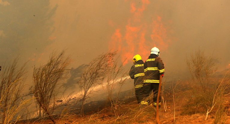Alerta máxima por riesgo de incendios en Misiones: está prohibido realizar quemas
