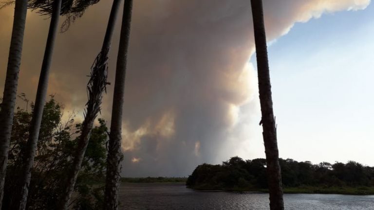 Un incendio forestal arrasó con más del 50% de la Reserva Pantanal Paraguayo y se reaviva en el país el debate por las políticas ambientales