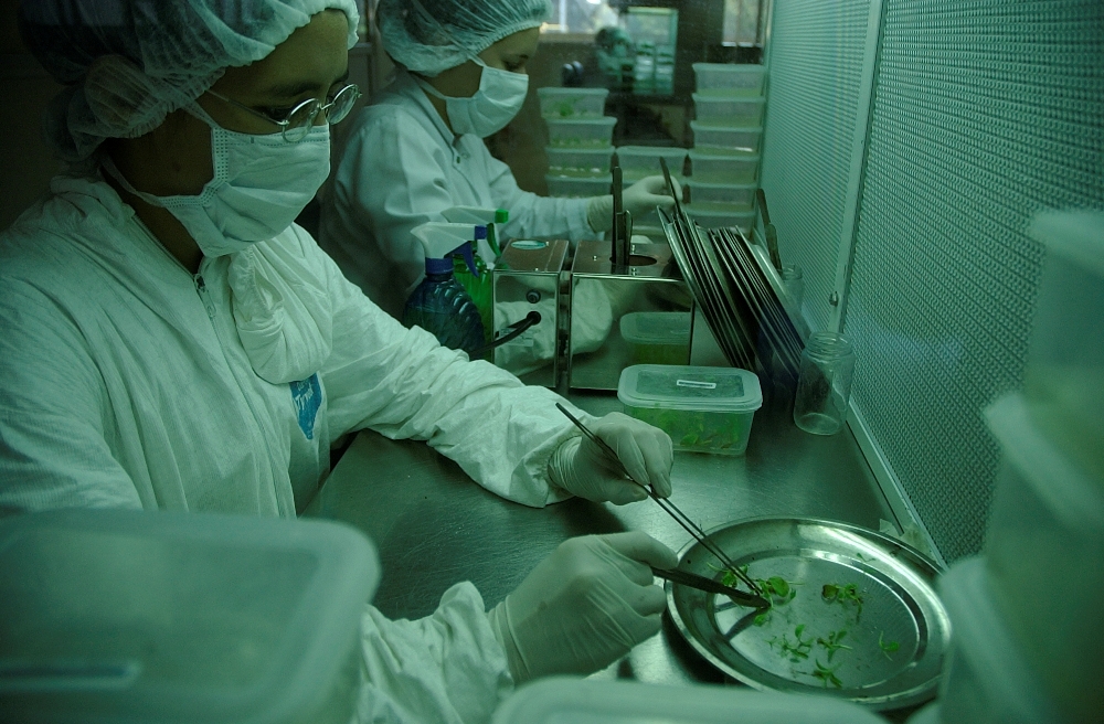 Biofabrica