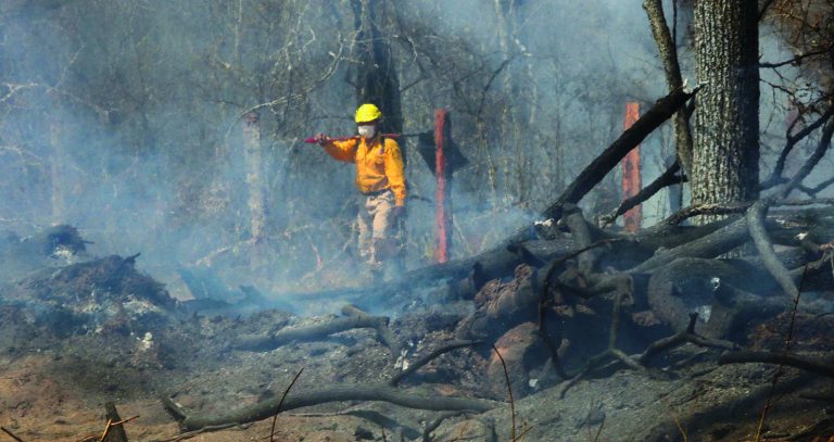 Bolivia: deciden contratar un Boeing contra incendios y voluntarios civiles se suman a las acciones de lucha en Chiquitania, en Santa Cruz