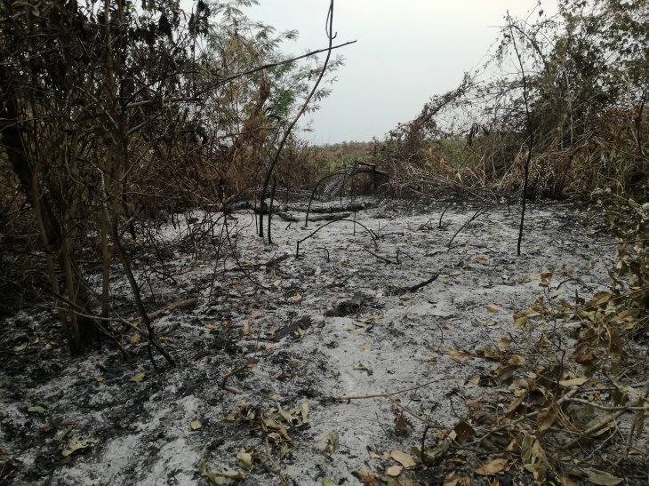 WWF Paraguay: hay 37 mil hectáreas afectadas por los incendios que incluyen áreas del PN Río Negro, la Reserva Tres Gigantes en el Pantanal Paraguayo y el Cerro Chovoreca