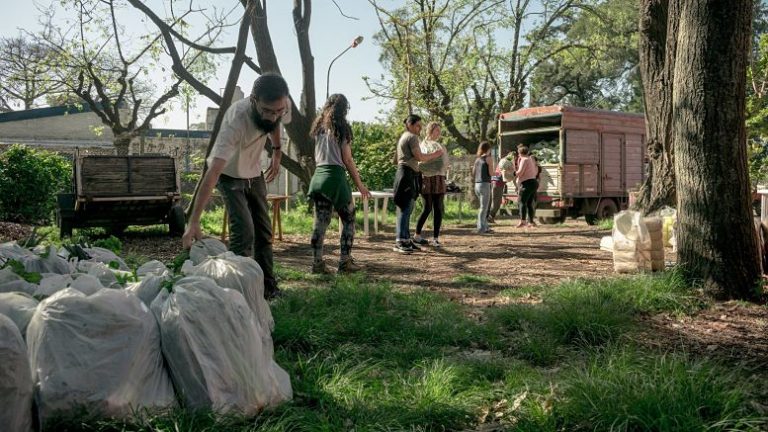 Comercializan 100 toneladas de verduras agroecológicas a precios justos