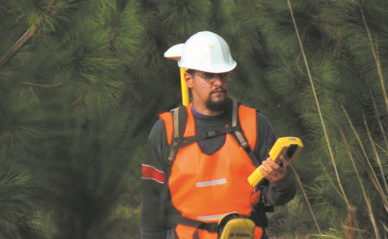 Misiones: El ejercicio profesional del manejo ético y sustentable de los bosques en manos de los ingenieros forestales