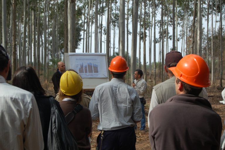 Día del Ingeniero Forestal Argentino: el rol crucial de las Ciencias Forestales frente a la crisis climática