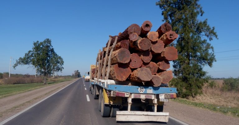 Ingenieros forestales debatirán las bases para la sostenibilidad de la actividad forestal en la región chaqueña