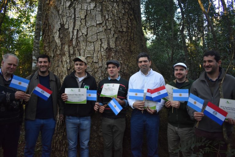 Un Timbó gigante de la Reserva Guaraní de la UNaM se convirtió en el primer árbol internacional registrado por “Colosos de la Tierra” de Paraguay