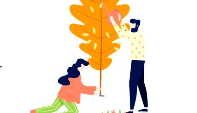 Forestación: presentarán en Misiones el programa Hacemos Futuro y los avances de la herramienta del Seguro Verde para la región