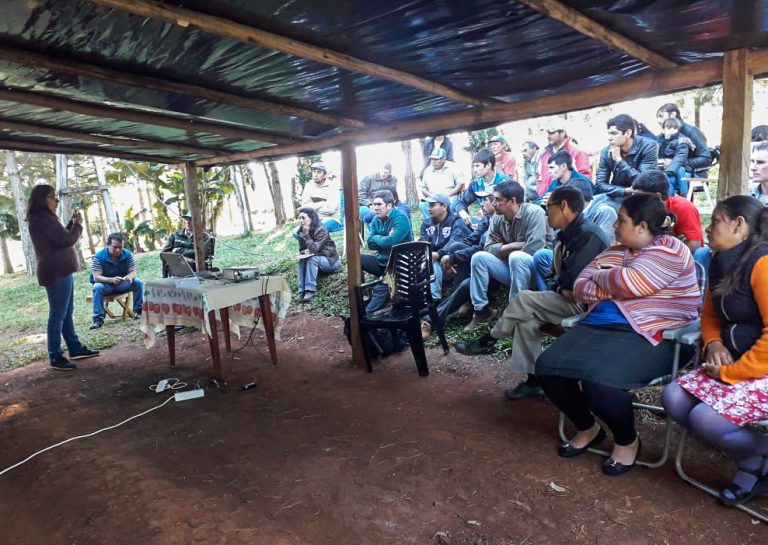 Misiones: propietarios privados y Vida Silvestre protegen más de 5.100 hectáreas de monte nativo en San Pedro e Irigoyen