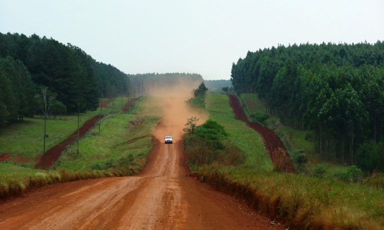 Para AFoA, la «eficiencia y transparencia» en la gestión nacional forestal se sostiene por la regularización lograda en el pago y financiamiento de la Ley 25.080