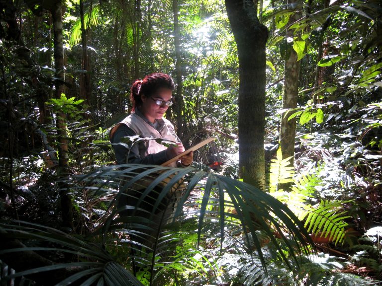 La Ecología Funcional, una herramienta de manejo forestal