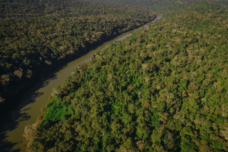 Presupuesto Nacional 2022 y Bosques Nativos: La forestoindustria argentina expresó «alarmante preocupación» ante la reducción de fondos a la ley 26.331