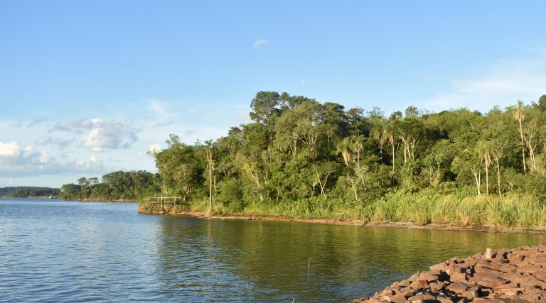 Casi 200 mil hectáreas de reservas naturales privadas comprometidas con la conservación y el ecoturismo en la Argentina