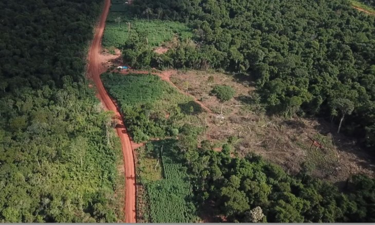 Agenda Virtual: 4to Ciclo de Charlas de Derecho Forestal, con eje en la restauración de ecosistemas