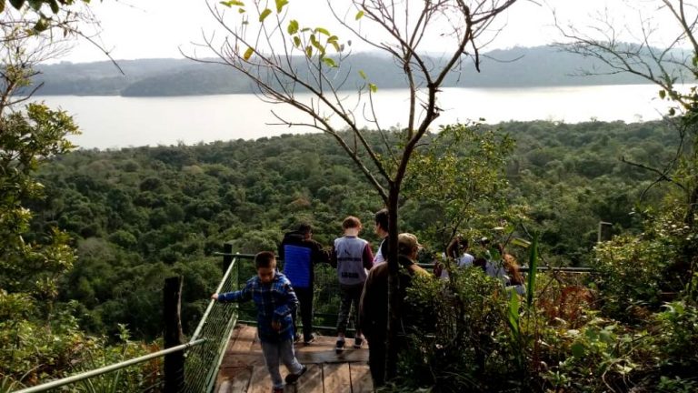 Embajadores de la Selva Misionera: guardaparques guiaron a estudiantes de primaria de Puerto Pirámide, de Península de Valdés, en un atractivo recorrido por las áreas naturales