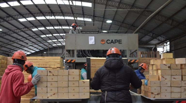 El 2026 podría marcar el inicio de una reestructuración de la industria maderera del país tras uno de los peores años del sector