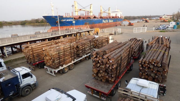 AFoA Entre Ríos prioriza infraestructura, costos y exportaciones en su agenda foresto-industrial