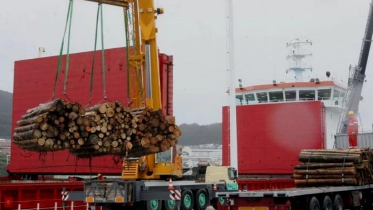 Kulfas con madereros y la polémica por el planteo de PyMEs de regular las exportaciones de rollizos: «¿A quién beneficia?»