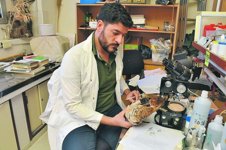 Buscan crear áreas protegidas para cuidar 395 especies de aves entrerrianas