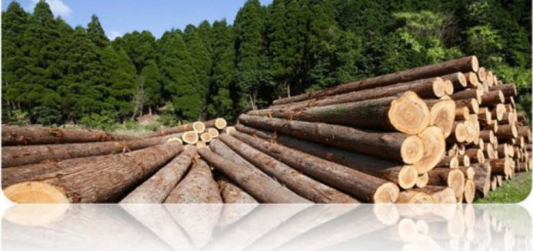 Disconformidad con Bordet en Entre Ríos por la adhesión a la Ley de Inversiones de Bosques Cultivados