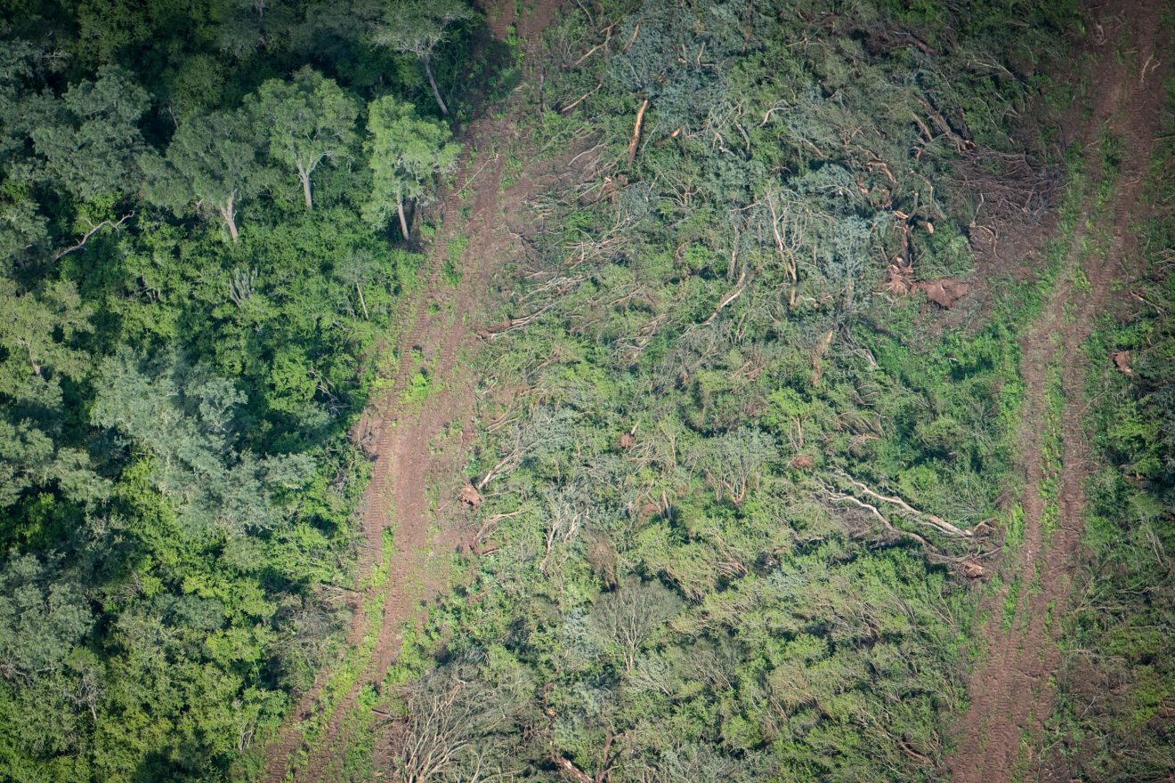 &ldquo;Es fundamental que una obra considere dentro de sus c&aacute;lculos econ&oacute;micos el plan de gesti&oacute;n ambiental, antes de iniciarse&rdquo;