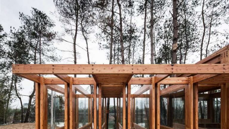 La madera de pino, una de las elegidas para la construcción