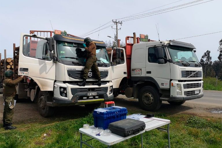 Violento atentado en Chile dejó herido a uno de los choferes de empresa contratista forestal